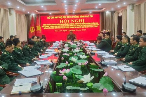 Tổng kết đợt cao điểm đấu tranh phòng chống tội phạm, ma túy, mua bán người, buôn lậu, gian lận thương mại và hàng giả