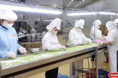 Hiệu quả công nghiệp chế biến nông sản
