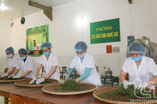 Thái Nguyên: Mỗi năm thành lập mới gần 1.000 doanh nghiệp