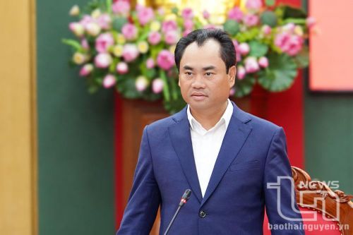 Ban Thường vụ Tỉnh ủy cho ý kiến vào nhiều nội dung quan trọng