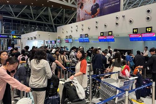 'Con cháu' một nhà cả…