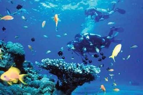 Công nghệ đang hỗ trợ khám phá đại dương