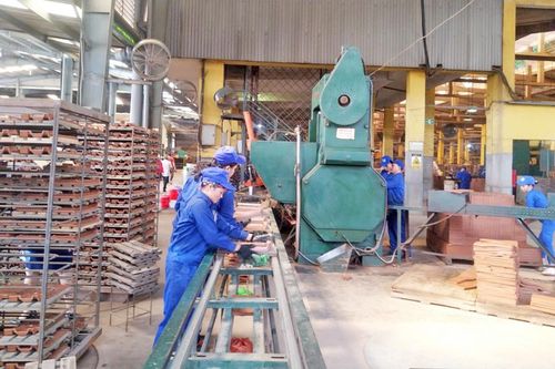 Viglacera Hạ Long thua lỗ 11 quý liên tiếp, cổ phiếu mất 26% từ đỉnh