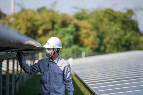 REE đặt mục tiêu tăng trưởng hai chữ số sau năm 'vỡ kế hoạch'