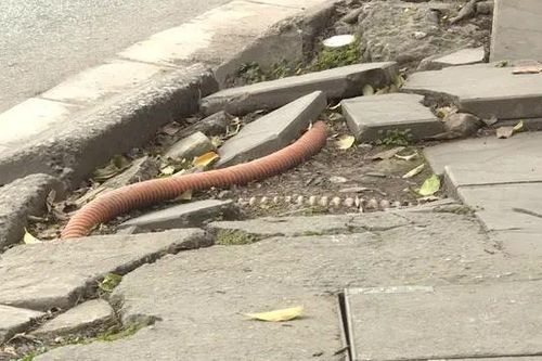 Nhiều vỉa hè xuống cấp sau thời gian ngắn cải tạo