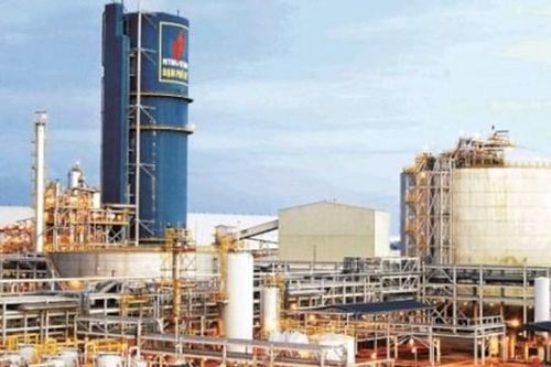 Phân bón và Hóa chất Dầu khí Đông Nam Bộ (PSE): Lợi nhuận 2025 dự kiến giảm, tập trung vào chính sách bán hàng