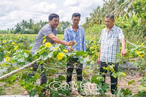 Chủ động nguồn nước trồng rẫy mùa hạn