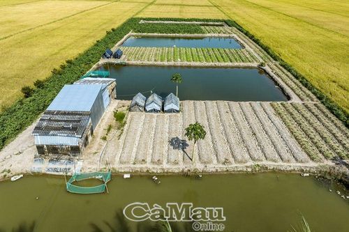 Trữ nước ngọt sản xuất mùa hạn