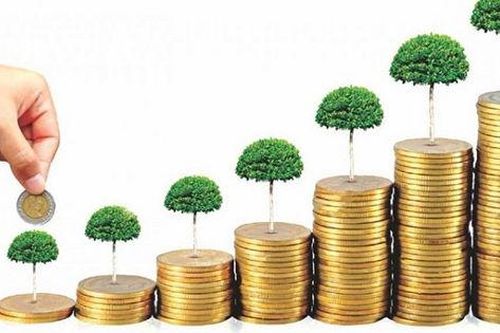 Năm 2025, nên 'bỏ trứng' vào 'giỏ' nào?