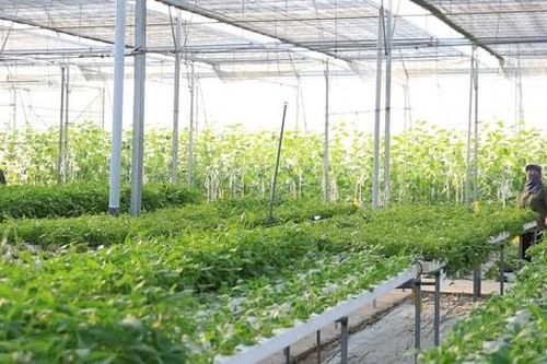 Tin tức đặc biệt trên báo in Hànôịmới ngày 19-3-2025