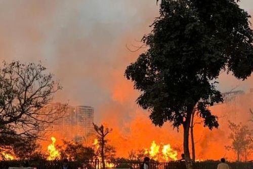 Đám cháy lớn tại Công viên Hòa Bình do đốt rác