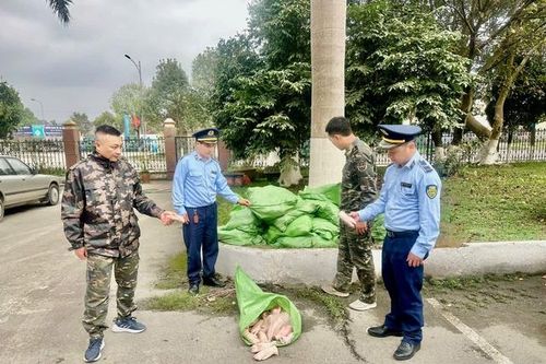 Đang vận chuyển hơn 500kg móng giò đông lạnh, không đảm bảo ATTP, xe ba bánh lập tức bỏ chạy khi thấy lực lượng chức năng