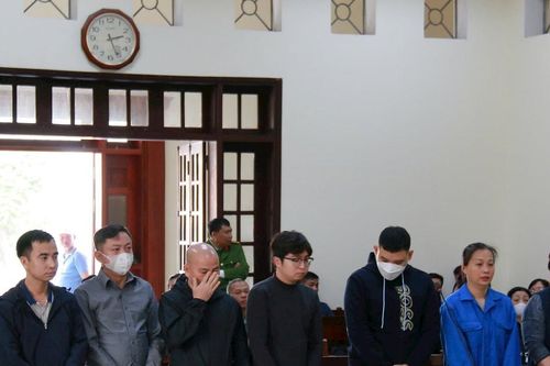 Hải Phòng: Gây thiệt hại trên 7 tỷ đồng, chấp hành viên lĩnh án 7 năm tù