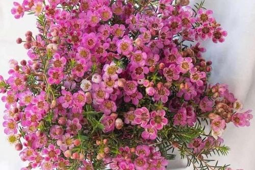 Tử vi ngày 21/3/2025 của 12 cung hoàng đạo: Bảo Bình tràn đầy năng lượng