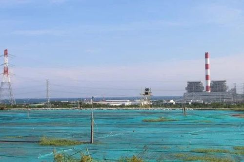Xử lý tình trạng bụi đen phát tán ở khu vực Trung tâm Điện lực Vĩnh Tân