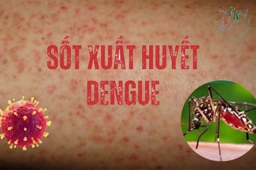 Nguy cơ sốt xuất huyết Dengue bùng phát