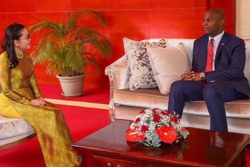 Đại sứ Trần Thị Thu Thìn trình Thư ủy nhiệm lên Tổng thống Mozambique