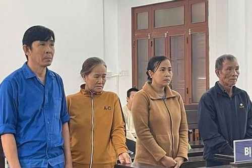 Con rể kéo gia đình nhà vợ vào vòng lao lý