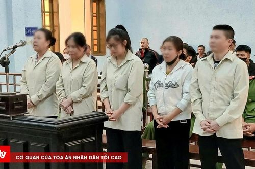 Lĩnh án chung thân vì lôi kéo mẹ ruột mua bán ma túy