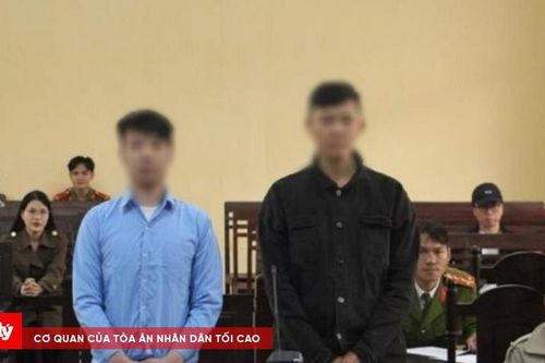 Du khách nước ngoài lĩnh án khi lái xe không có bằng