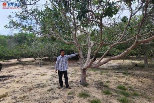 Khởi tố vụ án 'Sử dụng tài liệu giả của cơ quan, tổ chức' tại TP Phan Thiết, tỉnh Bình Thuận