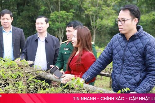 Lên đường găng để tập trung xây dựng Sơn Tiến sớm đạt nông thôn mới nâng cao