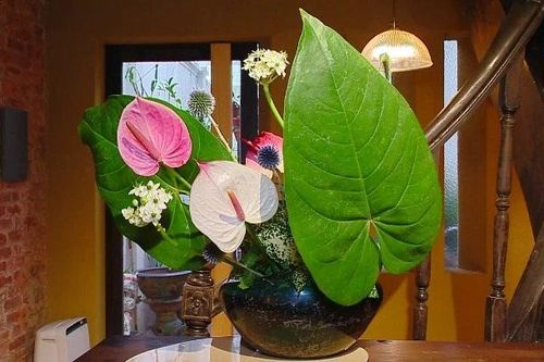 Chiêm ngưỡng Không gian Ikebana giữa lòng Thủ đô Hà Nội