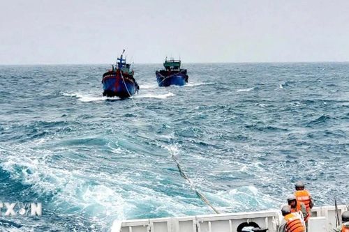 Tàu của Vùng 3 Hải quân tiếp cận thành công, lai kéo 2 tàu cá gặp nạn trên biển
