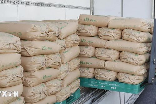 Giá gạo bán buôn tại Nhật Bản tiếp tục đạt mức cao kỷ lục