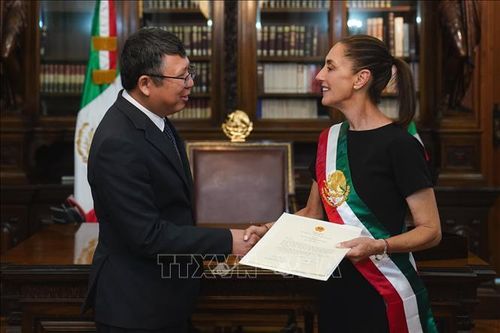 Tiếp tục tăng cường hợp tác Việt Nam - Mexico trên nhiều lĩnh vực