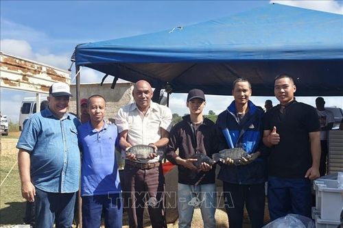 Kết tinh của tình đoàn kết, chuyển giao công nghệ giữa Việt Nam - Cuba