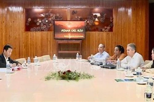 Khai phá tiềm năng hợp tác Việt Nam - Cuba tại thủ phủ xì gà thế giới