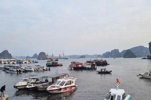 Tour khám phá Bái Tử Long đi vào hoạt động