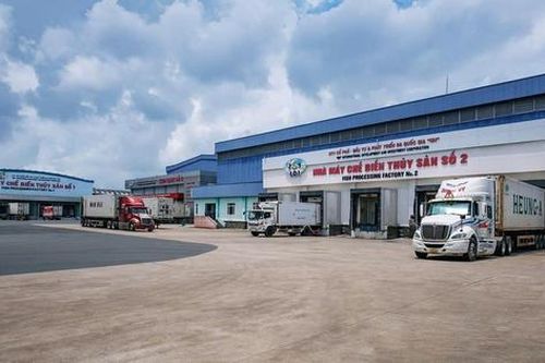 IDI tổ chức ĐHĐCĐ năm 2025 tại quê của Chủ tịch HĐQT