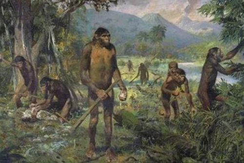 Vì sao con người 'bị mất đuôi' sau quá trình tiến hóa?