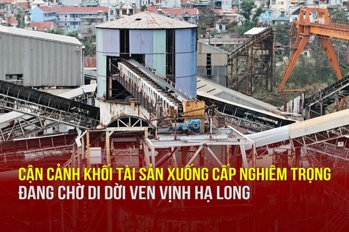 Cận cảnh khối tài sản hàng tỷ đồng xuống cấp nghiêm trọng, chờ di dời ven vịnh Hạ Long