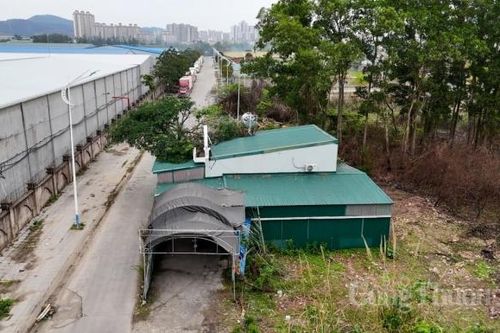 Quảng Ninh: Vì sao nhiều hộ dân 'bị bỏ rơi' ở TP. Móng Cái?
