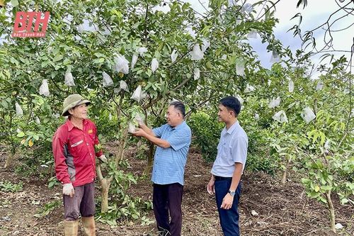 Nâng cao chất lượng công tác đào tạo, bồi dưỡng đội ngũ cán bộ, công chức cấp xã