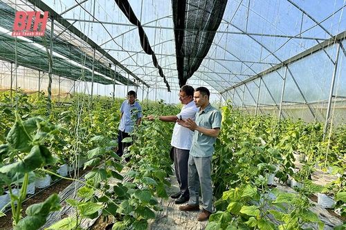 Tăng cường quản lý Nhà nước về thực hiện các nhiệm vụ khoa học và công nghệ