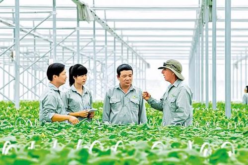 Sẽ có tiêu chí môi trường và xác nhận dự án đầu tư được cấp tín dụng xanh