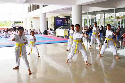 Tập luyện võ thuật rèn luyện sức khỏe
