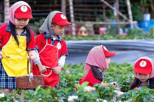 Nông nghiệp xanh: Giảm chi phí, tăng lợi thế cạnh tranh