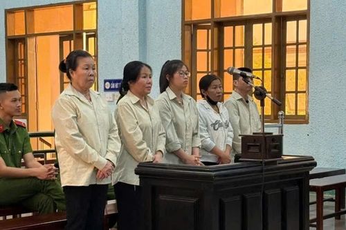 Gia Lai: Mua bán trái phép chất ma túy, 5 đối tượng lãnh án