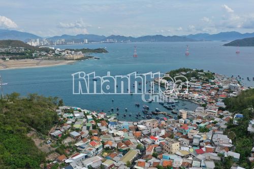 Thành lập Chi cục Thủy sản, Biển và Hải đảo trực thuộc Sở Nông nghiệp và Môi trường