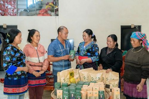 Chè cổ thụ trên đất Tả Lèng