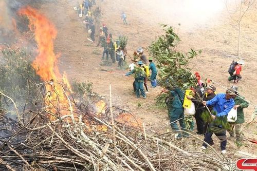 Diễn tập ứng phó cháy rừng tại xã Mường Và