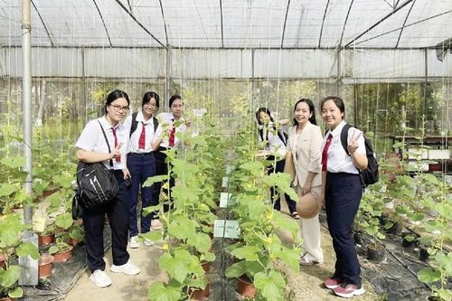 Rộng cửa kiếm việc làm