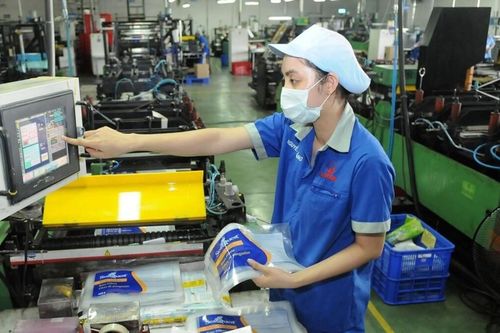 Chú trọng phát triển sản xuất bền vững chế biến, đóng gói bao bì ngành nhựa, cao su