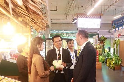 Nhiều dư địa hợp tác trong lĩnh vực bán lẻ giữa Việt Nam-Thái Lan