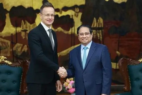 Thúc đẩy quan hệ hợp tác Việt Nam - Hungary